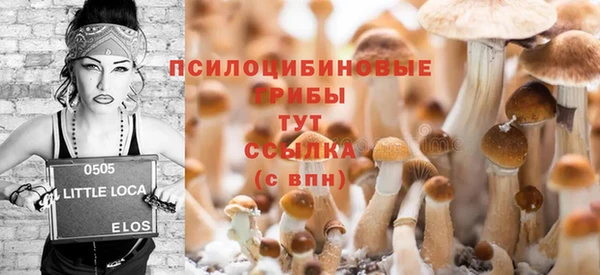 хмурый Абинск