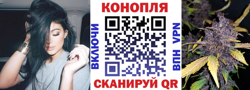 сайты даркнета Telegram  OMG ТОР  Сим  Каннабис индика 